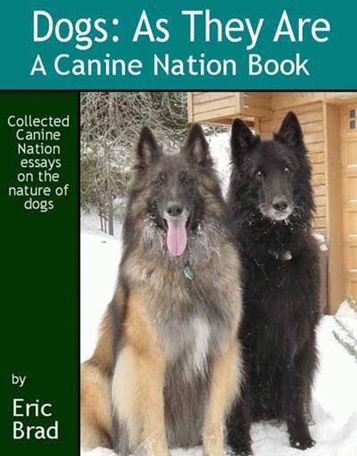 Dogs: As They Are: A Canine Nation Book