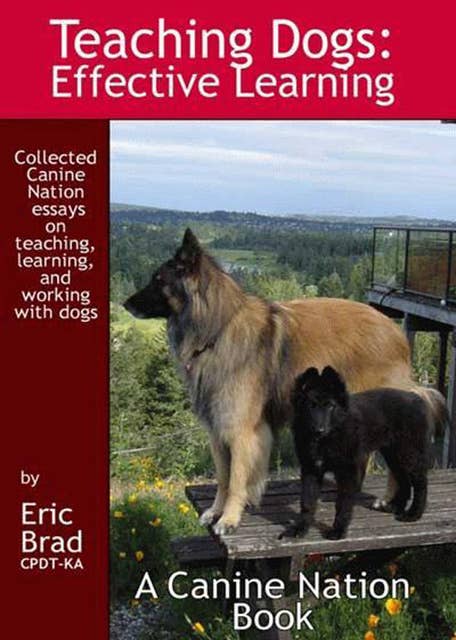 Teaching Dogs: Effective Learning: A Canine Nation Book