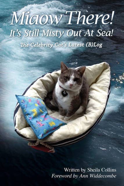 Miaow There! It's Still Misty Out At Sea!