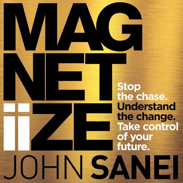 Magnetiize: Stop the Chase. Understand the Change. Take Control of Your Future