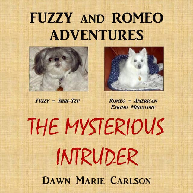 Fuzzy and Romeo Adventures - The Mysterious Intruder