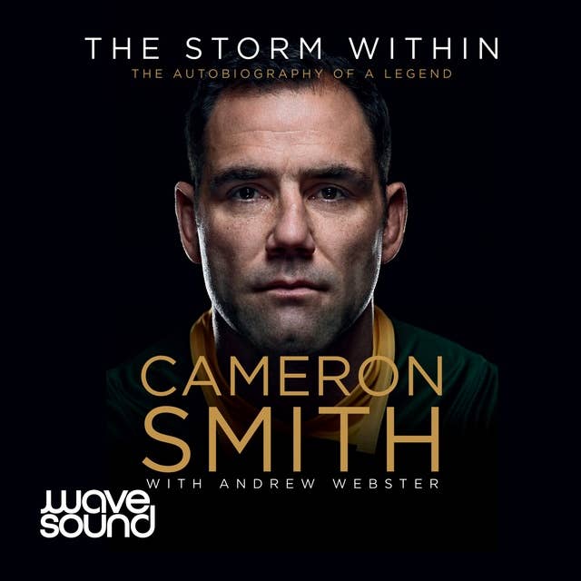 Cover for The Storm Within