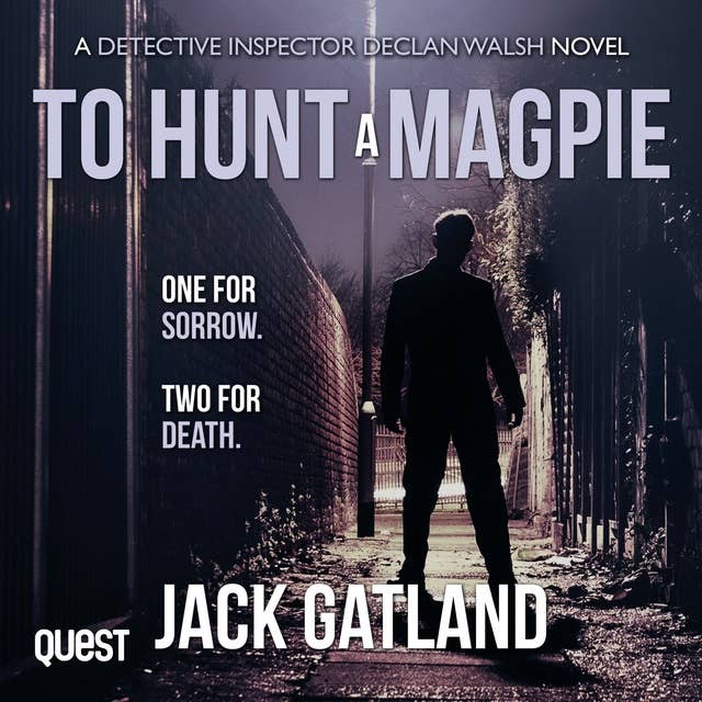 To Hunt a Magpie: Detective Inspector Declan Walsh Crime Series Book 5