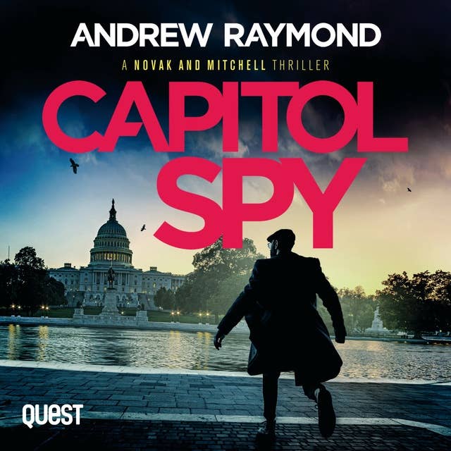 Capitol Spy: Novak and Mitchell Book 2