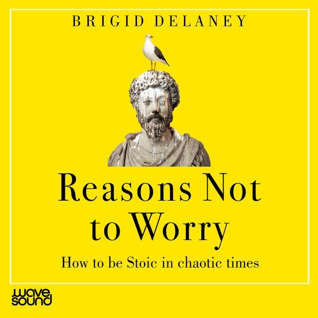 Reasons not to Worry: How to be stoic in chaotic times