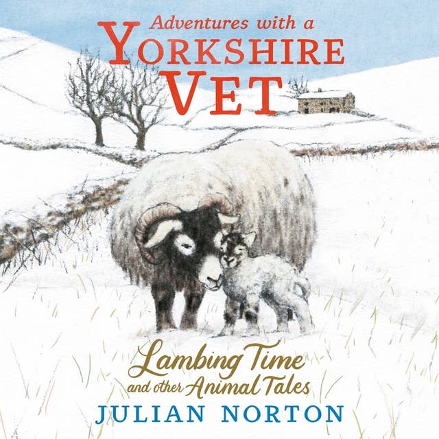 Adventures with a Yorkshire Vet: Lambing Time and Other Animal Tales