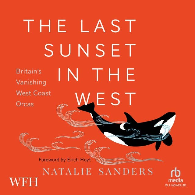 Last Sunset in the West: Britain's Vanishing West Coast Orcas