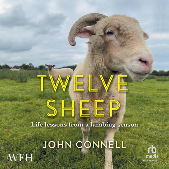 Twelve Sheep: Life Lessons from a Lambing Season
