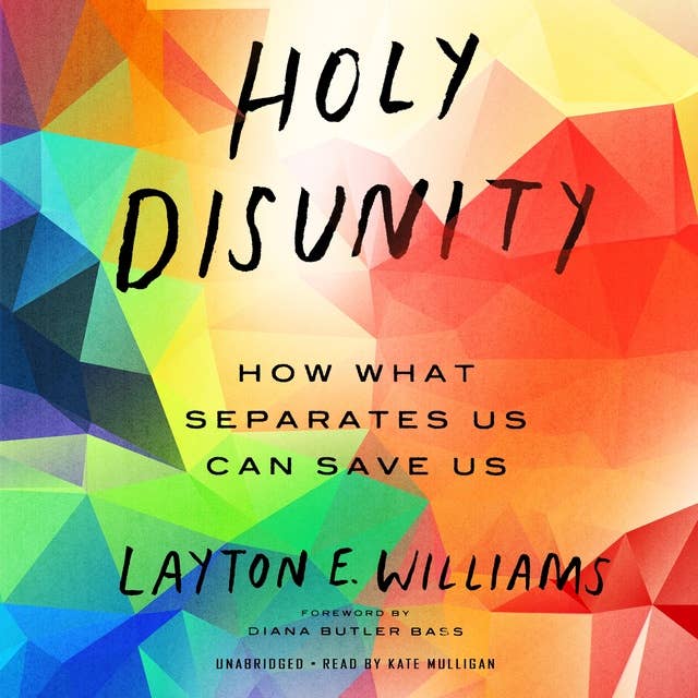 Holy Disunity: How What Separates Us Can Save Us