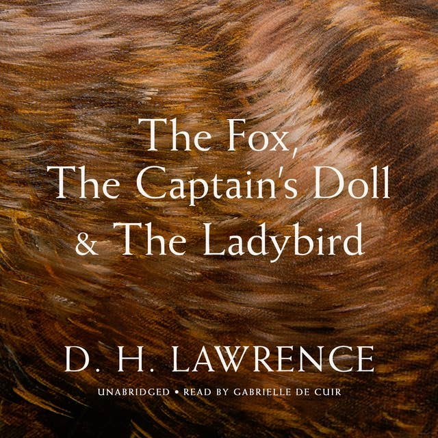 The Fox, The Captain’s Doll & The Ladybird