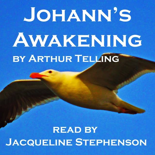 Johann's Awakening: A Seagull's Story of Enlightenment