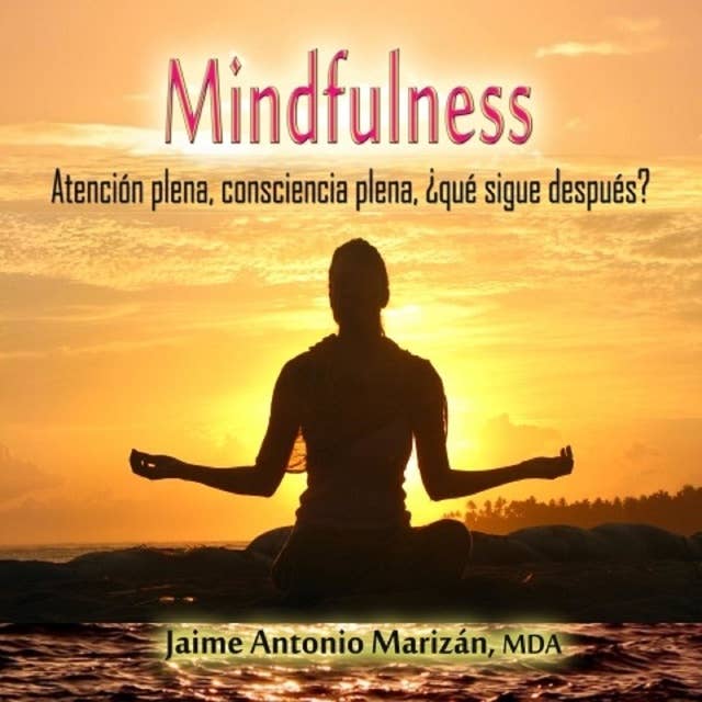 Mindfulness: Atención plena, consciencia plena. ¿Qué sigue después?