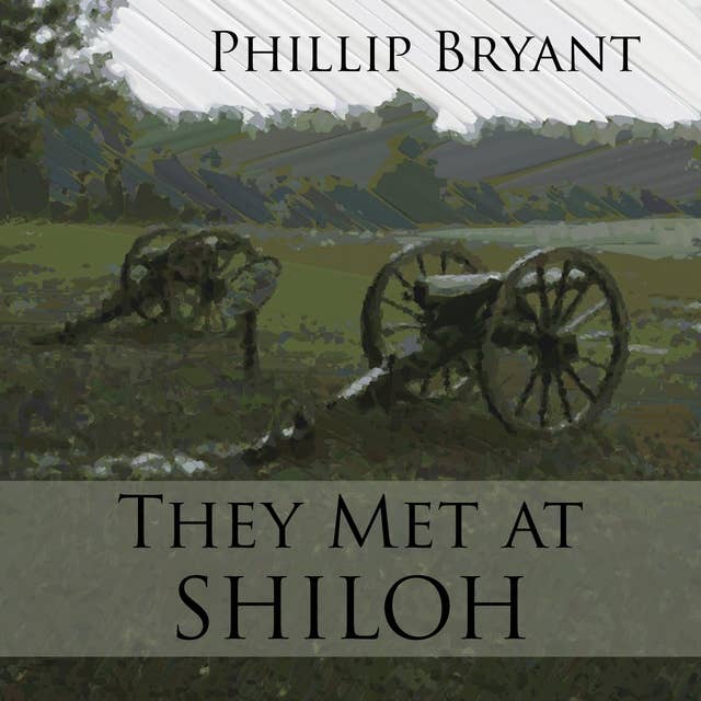 They Met at Shiloh: A Civil War novel