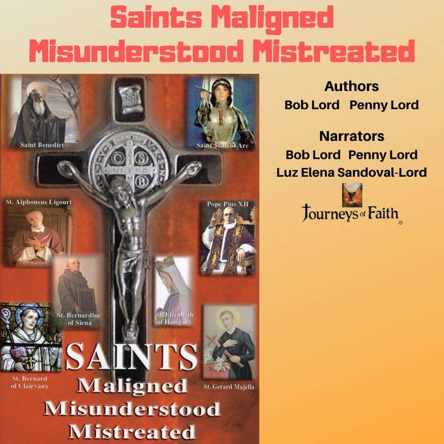 Saints Maligned Misunderstood Mistreated