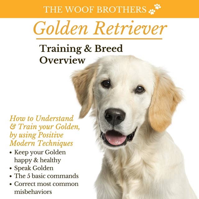 Golden Retriever: Training & Breed Overview
