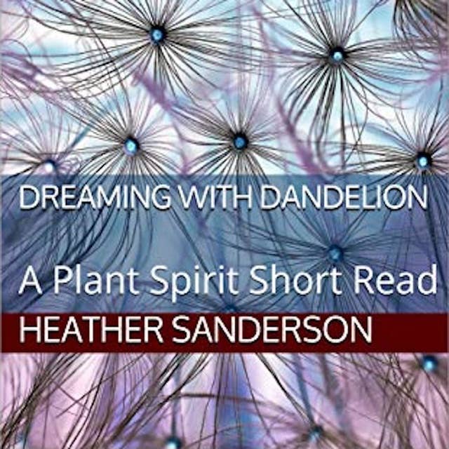 Dreaming with Dandelion: A Plant Spirit Short Read