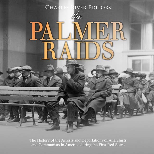 Cover for The Palmer Raids: The History of the Arrests and Deportations of Anarchists and Communists in America during the First Red Scare