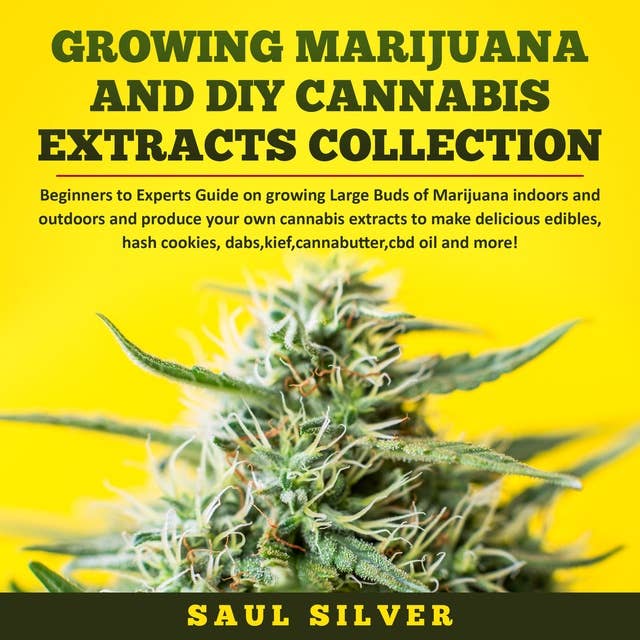 Growing Marijuana and DIY Cannabis Extracts Collection Beginners to Experts Guide on growing Large Buds of Marijuana indoors and outdoors and produce your own cannabis extracts to make delicious edibles, hash cookies, dabs,kief,cannabutter,cbd oil and more!: Beginners to Experts Guide on growing Large Buds of Marijuana indoors and outdoors and produce your own cannabis extracts to make delicious edibles,hash cookies,dabs,kief,cannabutter,cbd oil & more!