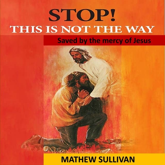 STOP! This is not the way: Saved by the mercy of Jesus