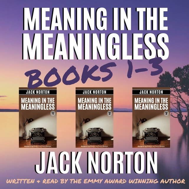 Meaning In The Meaningless: The Box Set (Books 1, 2 and 3): Musings on the Power of the Present Moment (and Other Random Thoughts from a Writer's Life)