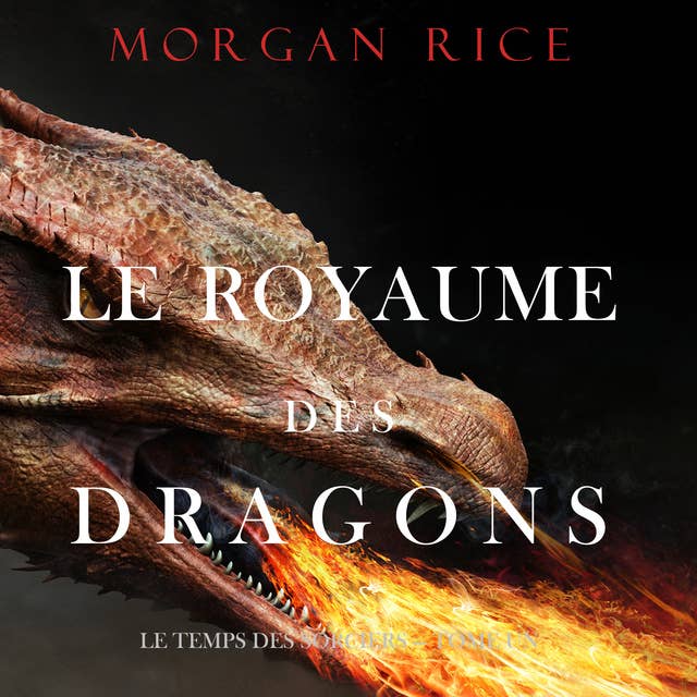 Le Royaume des dragons (Le Temps des sorciers, Tome Un)