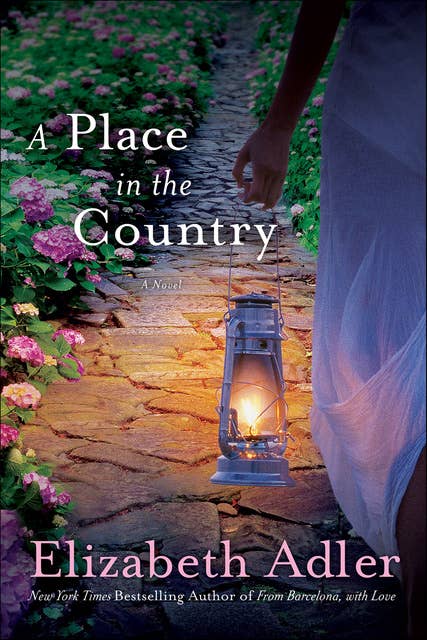 A Place in the Country: A Novel