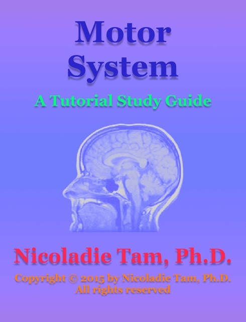 Motor System: A Tutorial Study Guide