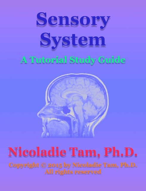 Sensory System: A Tutorial Study Guide