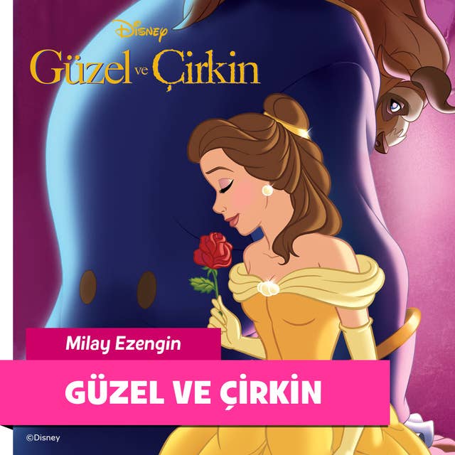 Güzel ve Çirkin