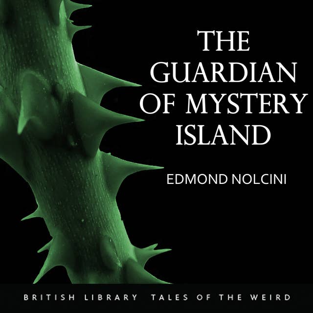 The Guardian of Mystery Island