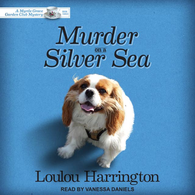 Cover for Murder on a Silver Sea