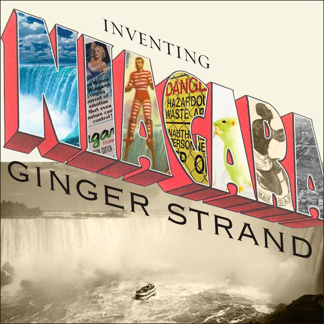 Inventing Niagara: Beauty, Power, and Lies