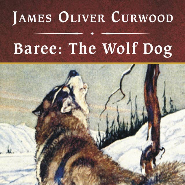 Baree - The Wolf Dog