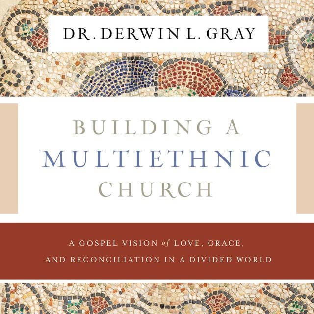 Cover for Building a Multiethnic Church: A Gospel Vision of Grace, Love, and Reconciliation in a Divided World