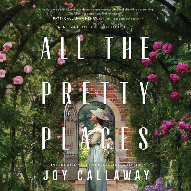 All the Pretty Places: A Novel of the Gilded Age