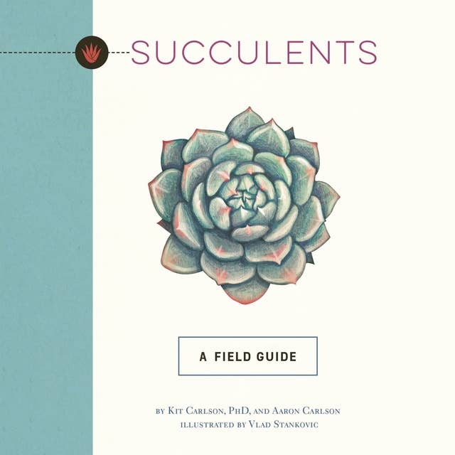 Succulents: A Field Guide