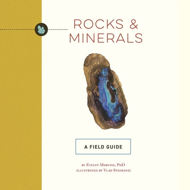 Rocks and Minerals: A Field Guide