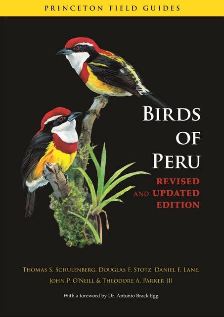 Birds of Peru: Revised and Updated Edition