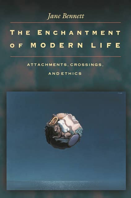 The Enchantment of Modern Life: Attachments, Crossings, and Ethics