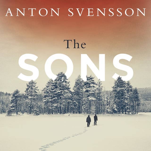 The Sons: The completely thrilling follow-up to crime bestseller The Father