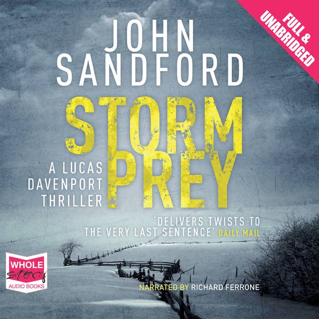 Storm Prey: Lucas Davenport 20