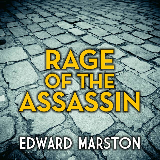 Rage of the Assassin