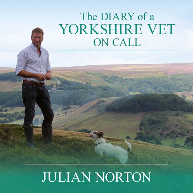 A Year in the Life of the Yorkshire Shepherdess - Audiobook