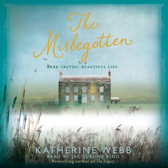 The Misbegotten: A haunting mystery of family secrets, passion and lies