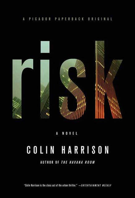 Risk: A Novel