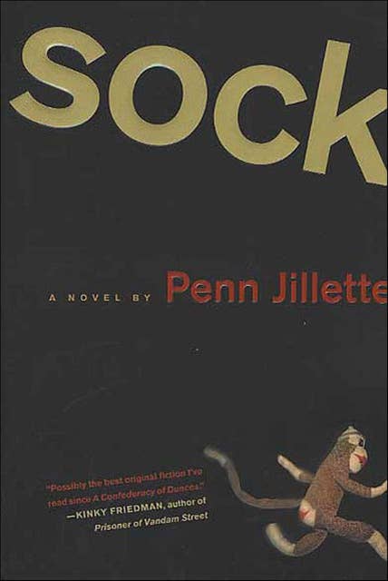Sock: A Novel