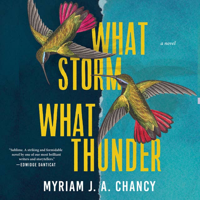 What Storm, What Thunder: A Novel