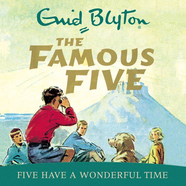 Five Have A Wonderful Time: Book 11