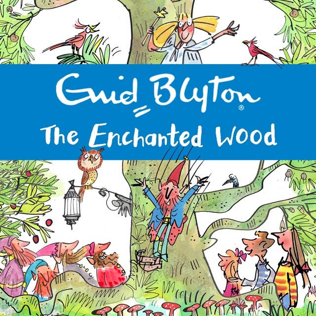 The Enchanted Wood: Book 1