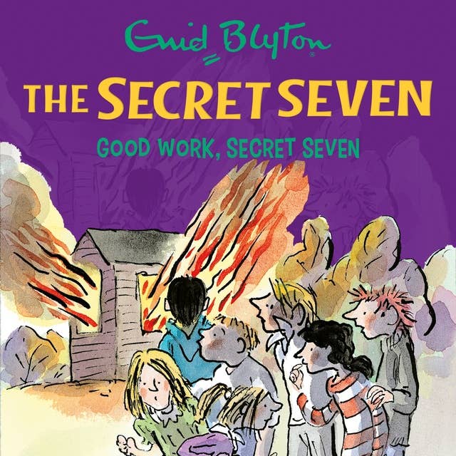 Good Work, Secret Seven: Book 6